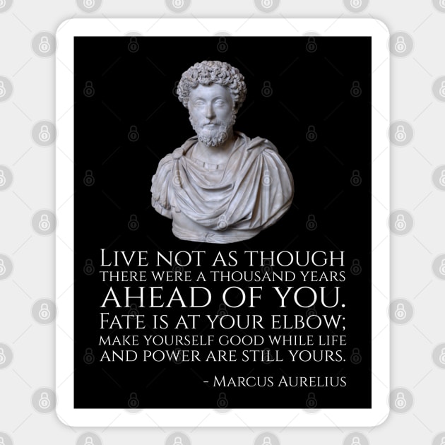 Live not as though there were a thousand years ahead of you. Fate is at your elbow; make yourself good while life and power are still yours. - Marcus Aurelius Magnet by Styr Designs